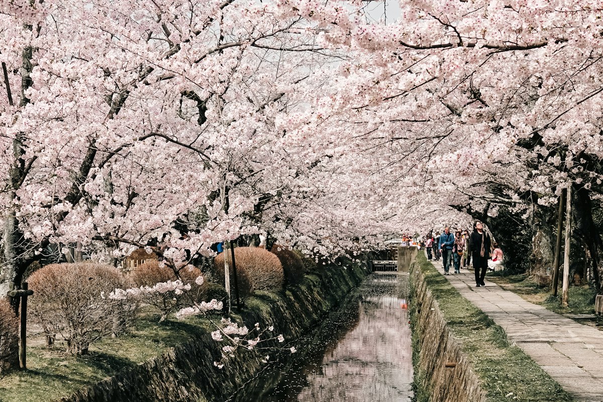 哲學之道:銀閣寺走到南禪寺