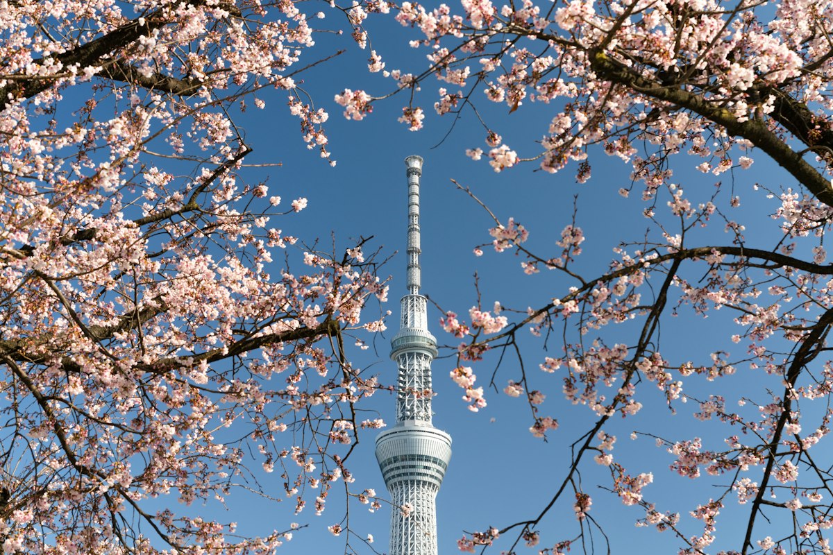 晴空塔、東京鐵塔與老江戶