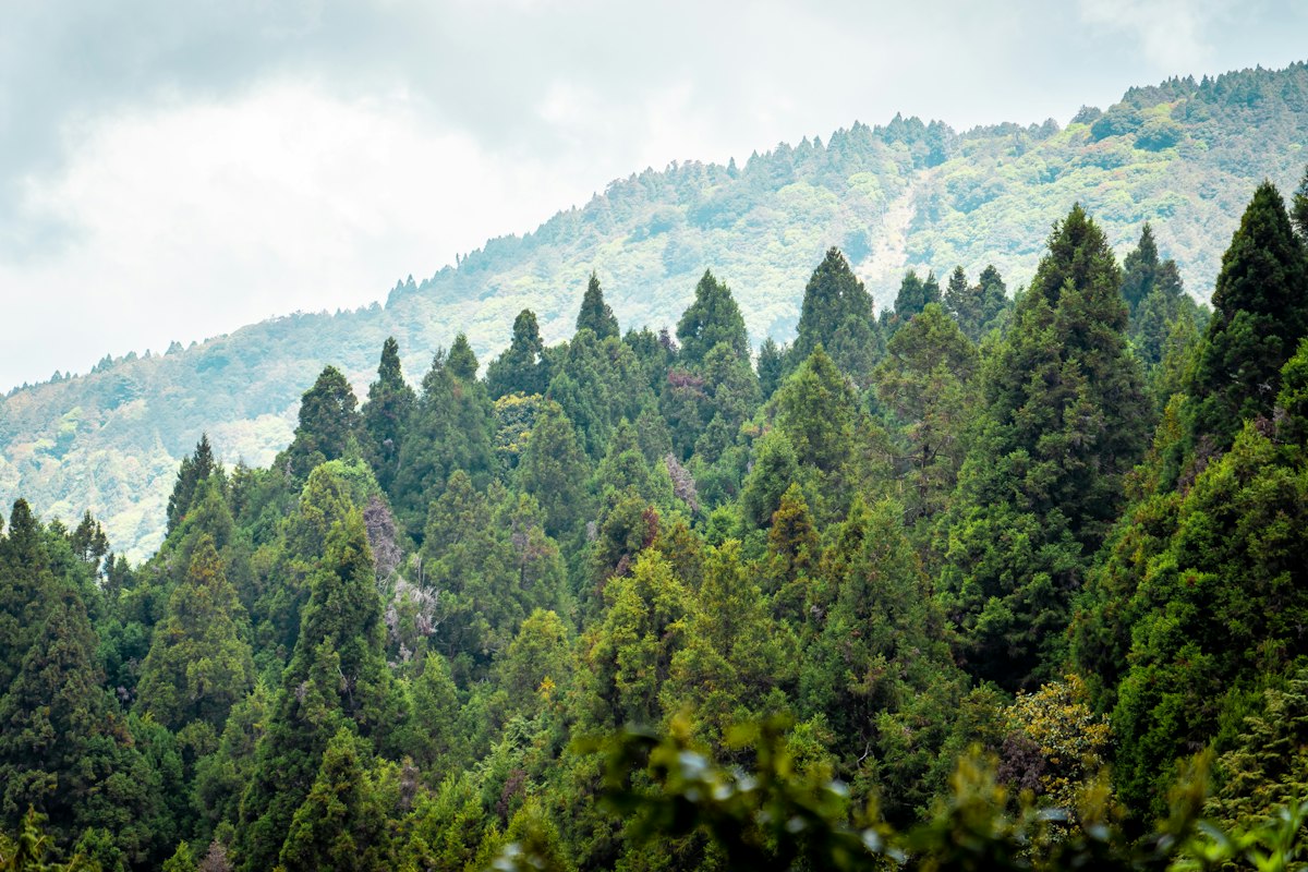 宜蘭山海:太平山到威士忌